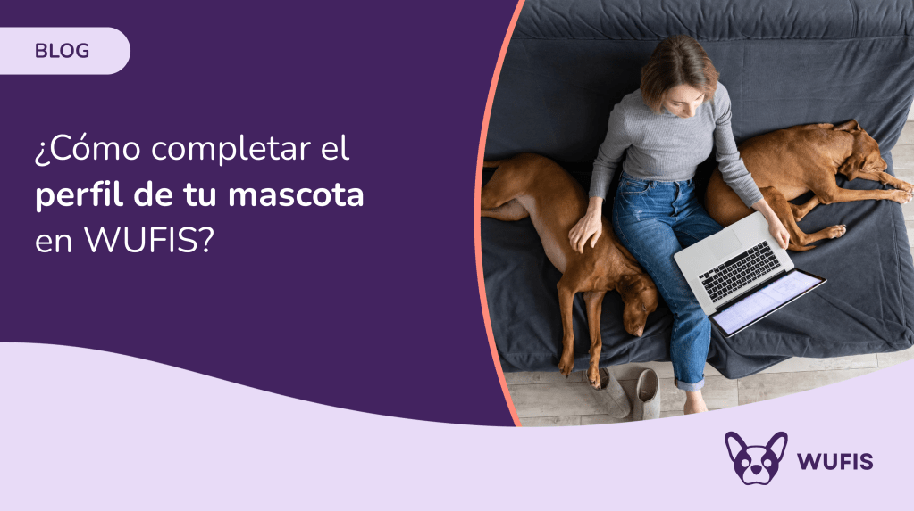 Mujer completando el perfil de su mascota en Wufis desde su computadora, acompañada por dos perros en un sillón