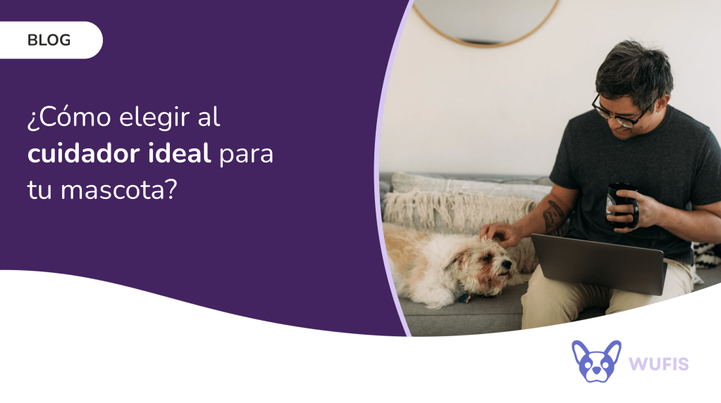 Hombre acariciando a su perro mientras trabaja con una notebook, representando la búsqueda del cuidador ideal para una mascota en el blog de Wufis