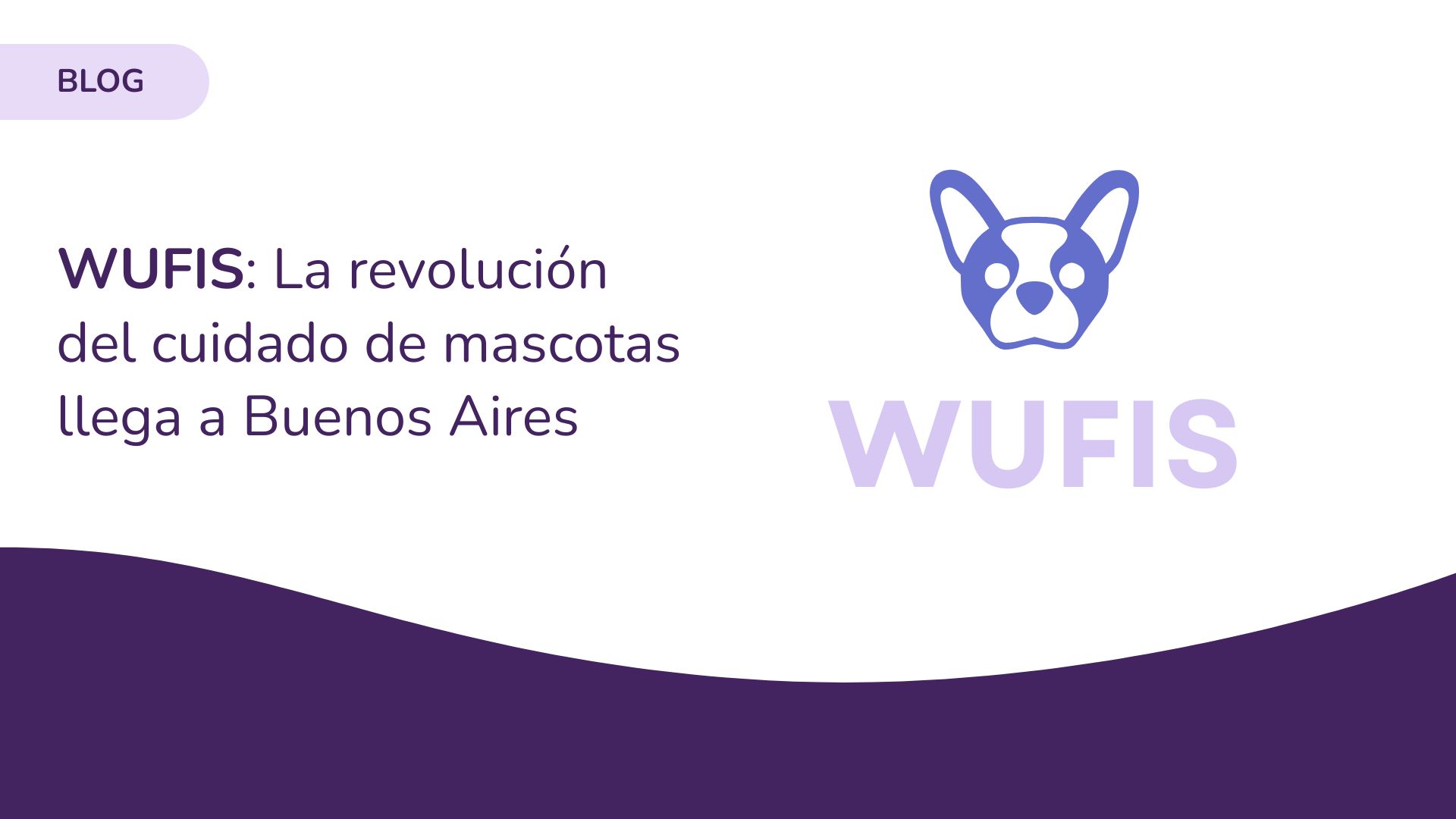 Wufis: La revolución del cuidado de mascotas llega a Buenos&nbsp;Aires