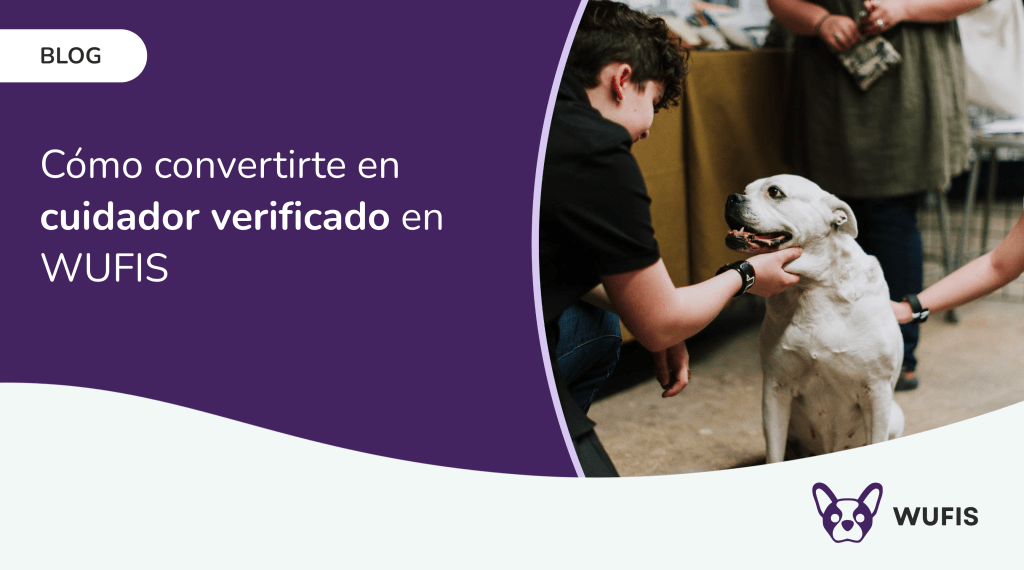 Cuidador interactuando con un perro blanco en un espacio interior, demostrando el cuidado profesional de mascotas en Wufis