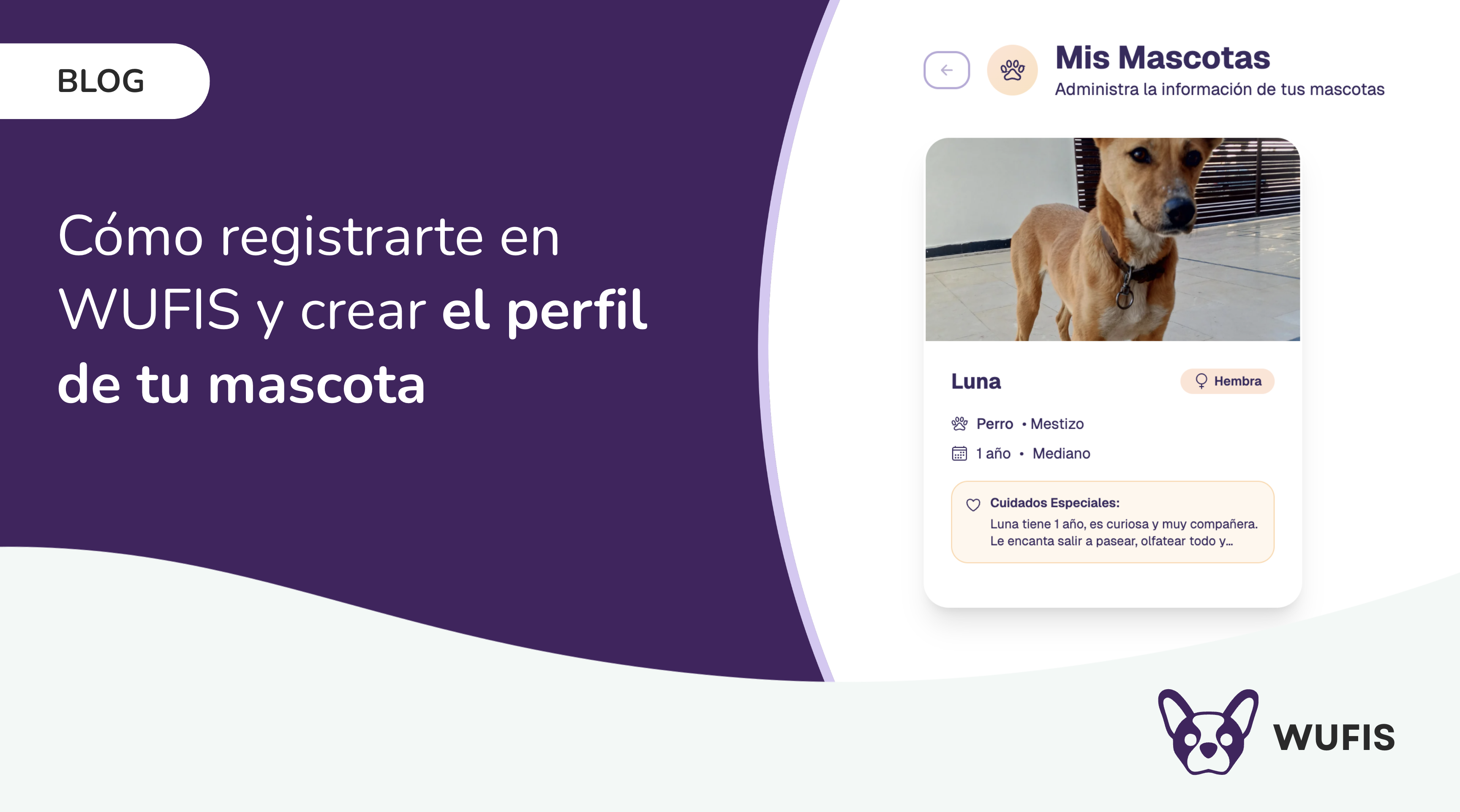 Guía completa: Cómo registrarte en Wufis y crear el perfil de tu&nbsp;mascota