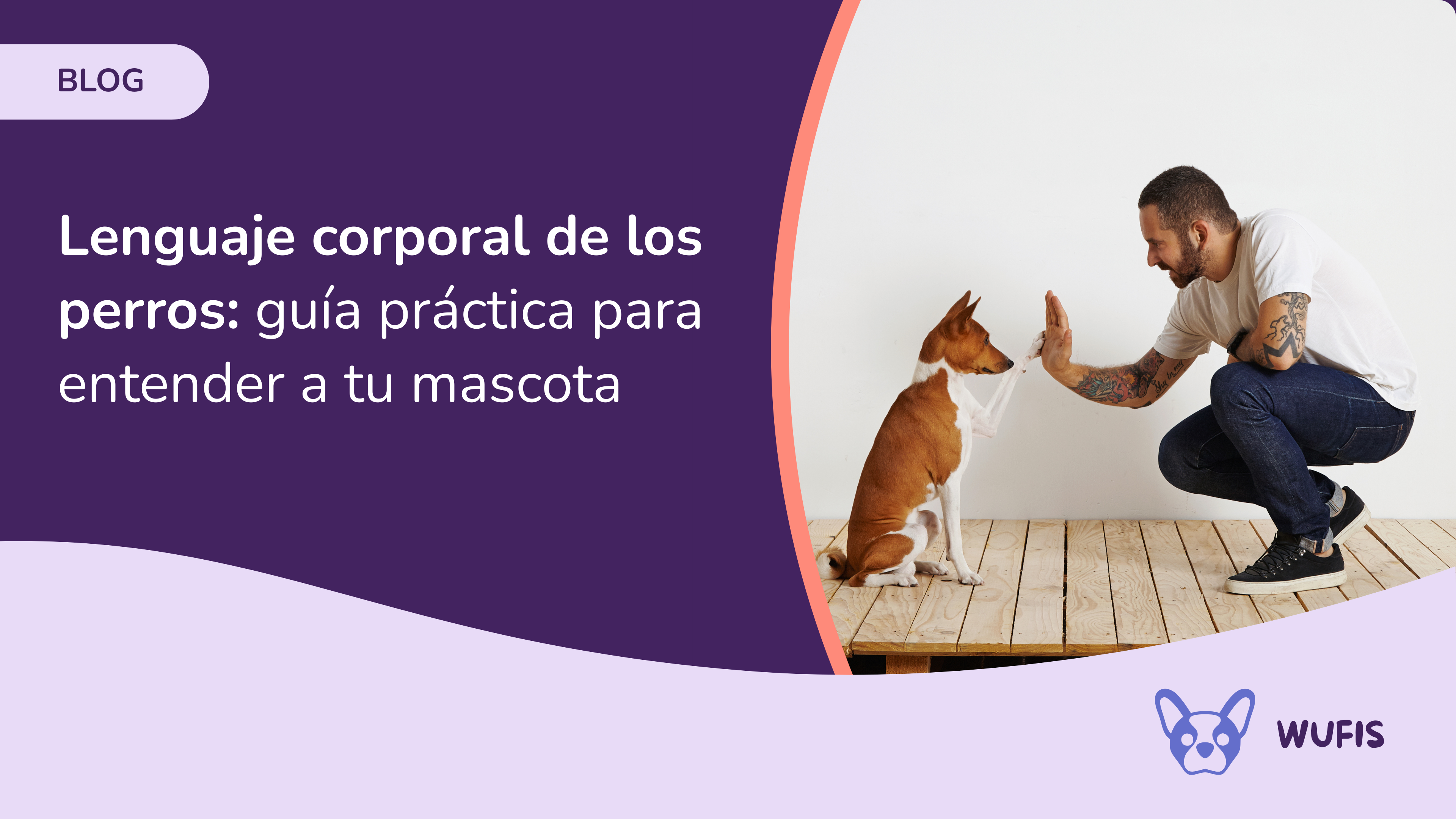 Lenguaje corporal de los perros: guía práctica para entender a tu&nbsp;mascota