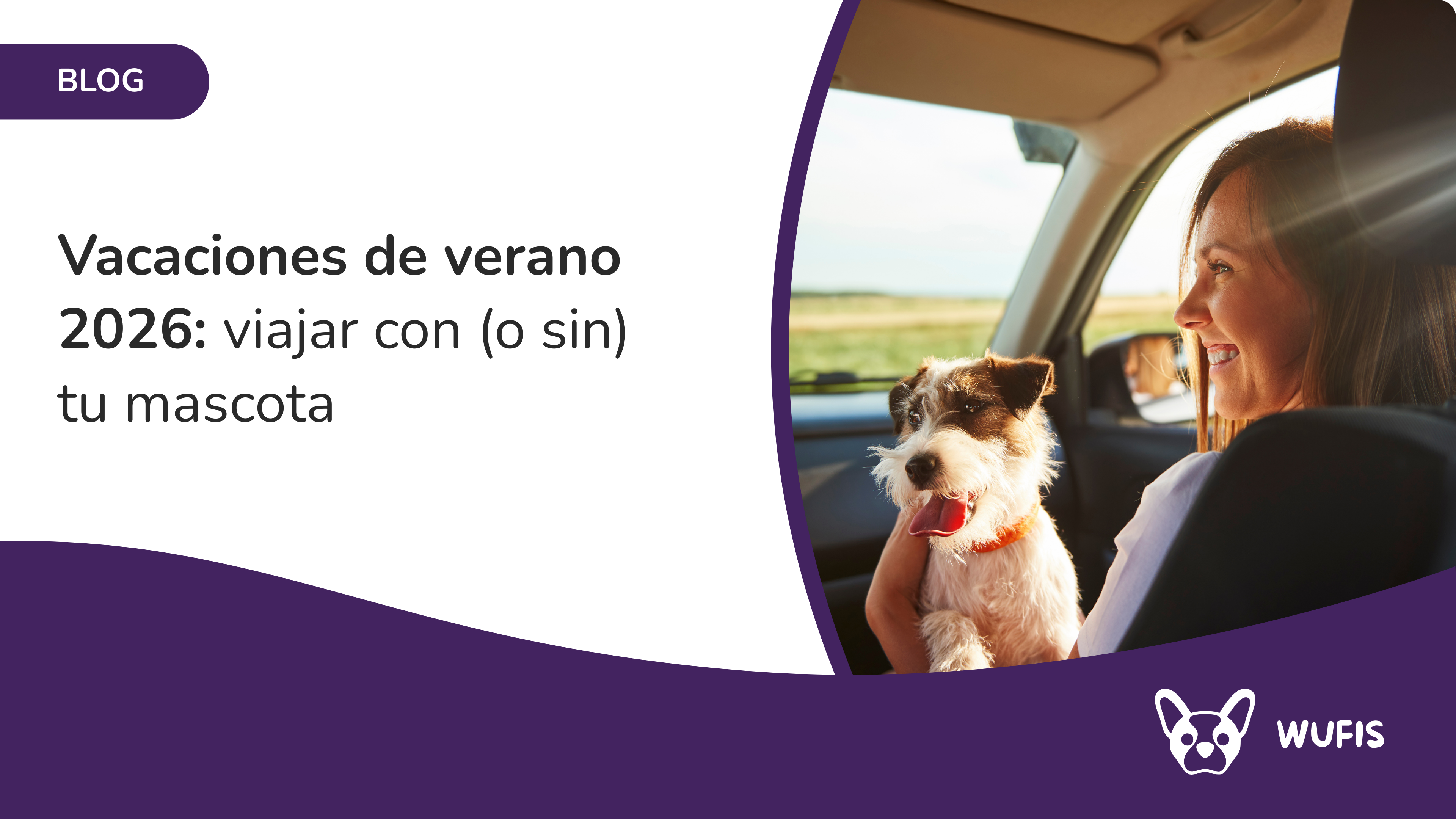 Vacaciones de verano 2026: viajar con (o sin) tu&nbsp;mascota