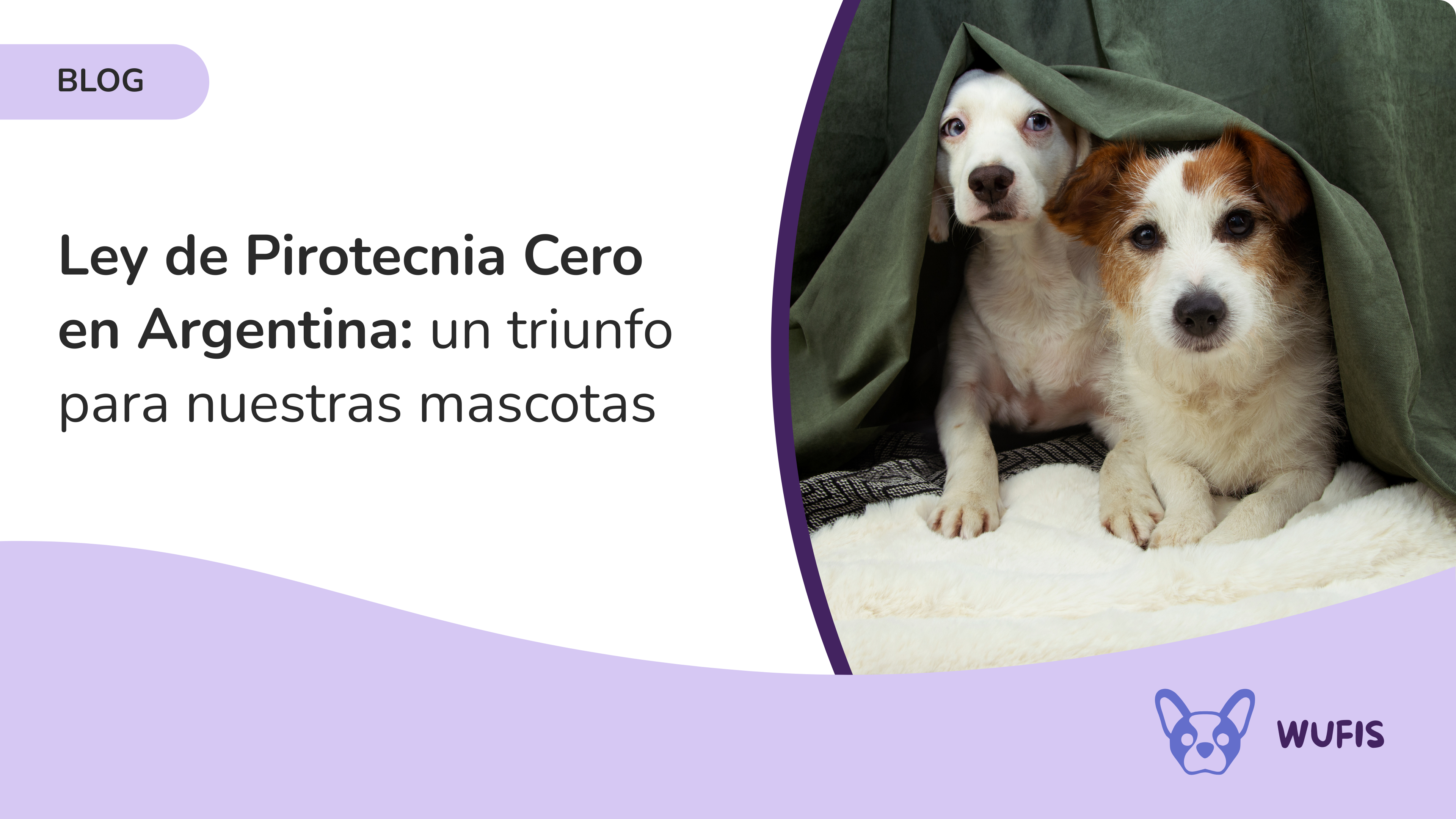 Ley de Pirotecnia Cero en Argentina: un triunfo para nuestras&nbsp;mascotas