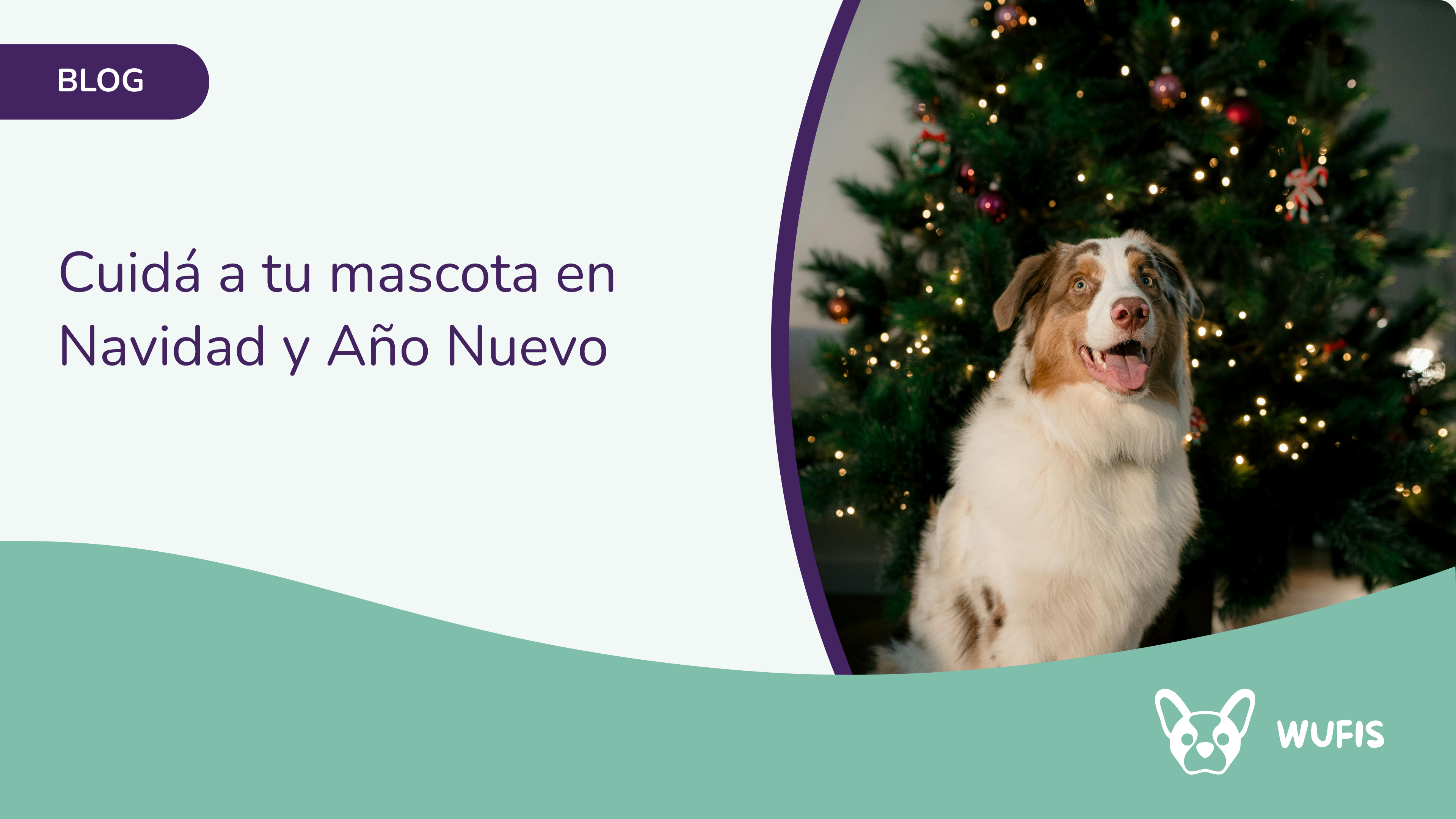 Cuidá a tu mascota en Navidad y Año&nbsp;Nuevo