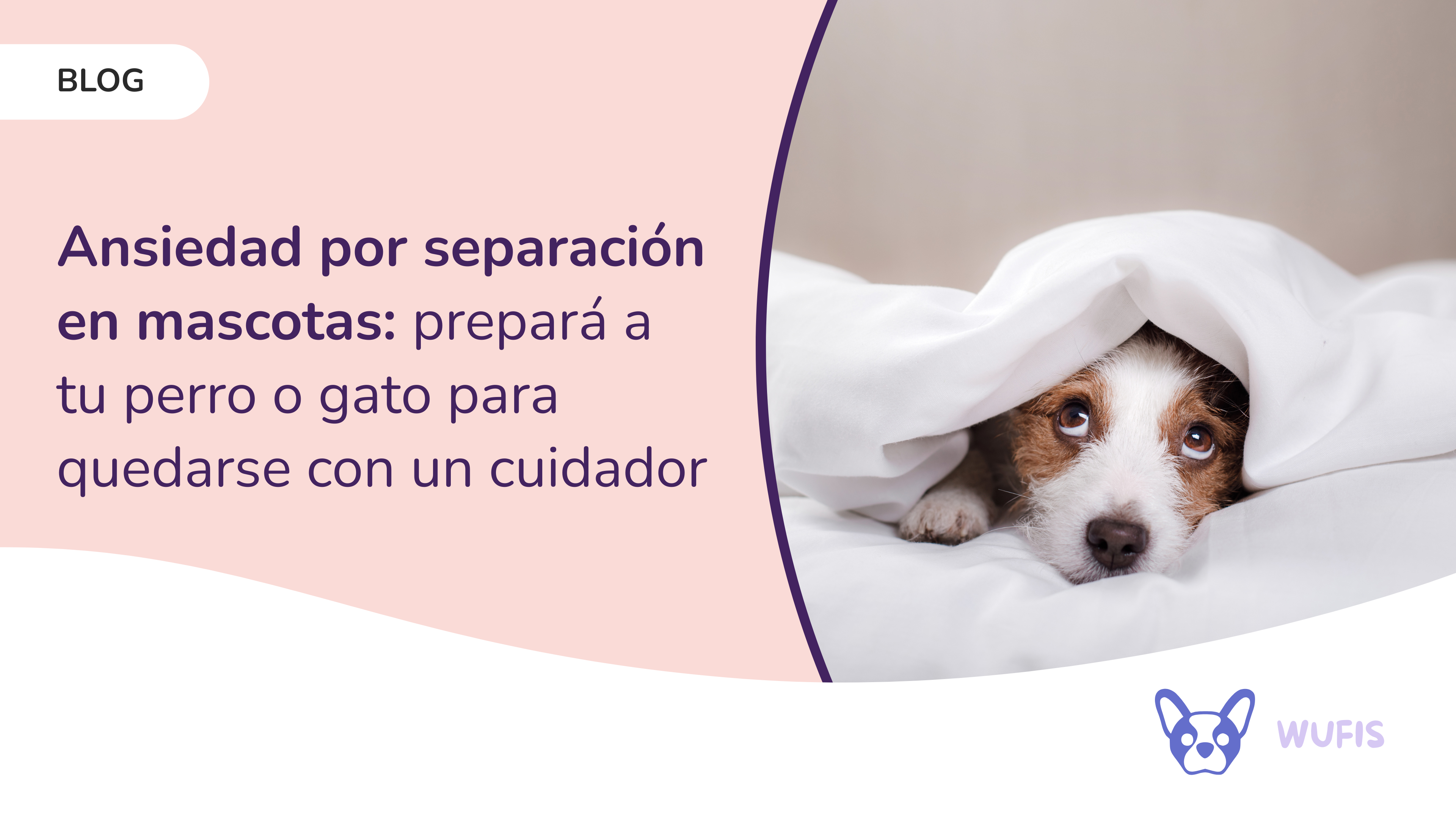 Ansiedad por separación en mascotas: prepará a tu perro o gato para quedarse con un cuidador