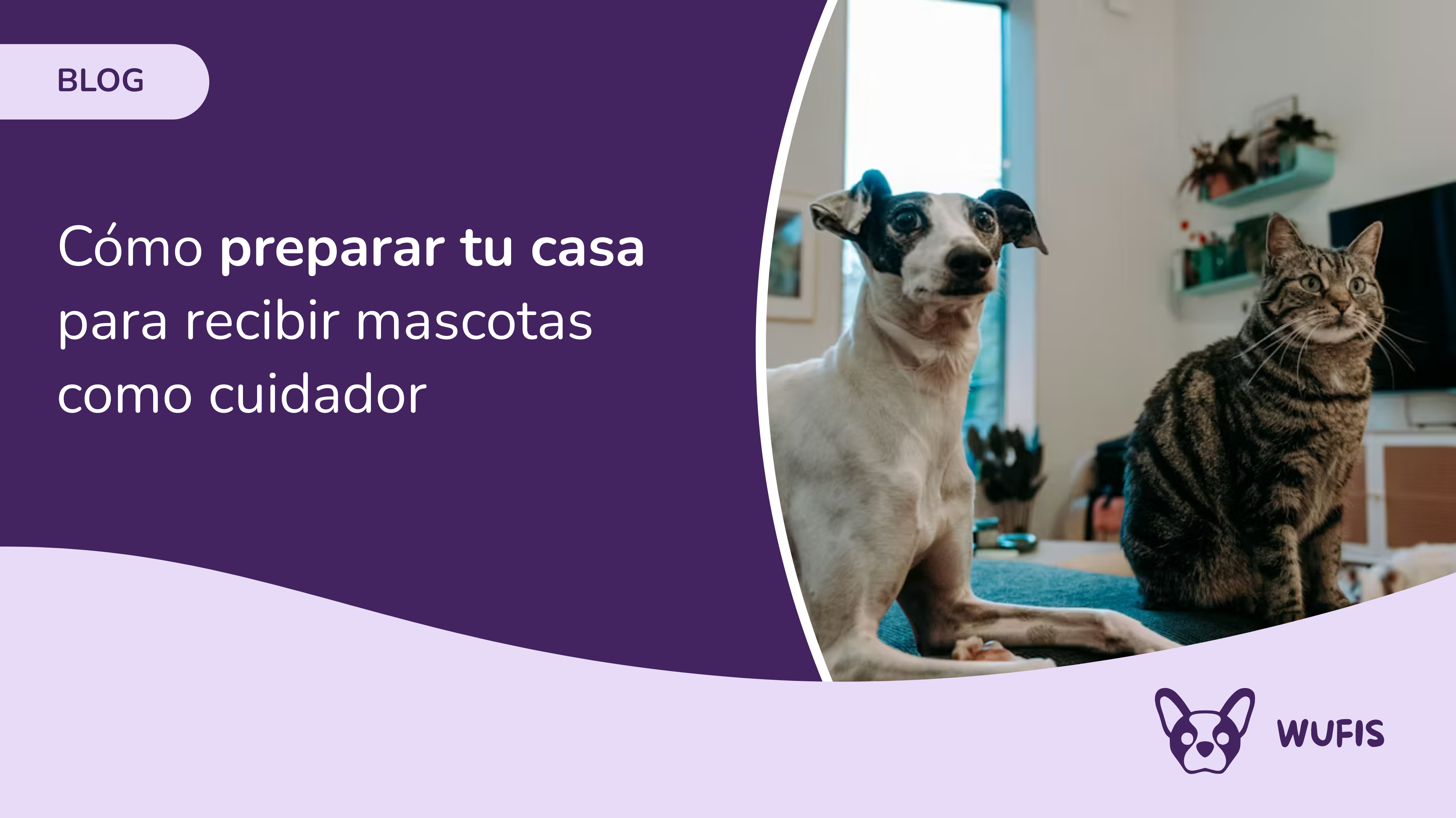 Cómo preparar tu casa para recibir mascotas como cuidador