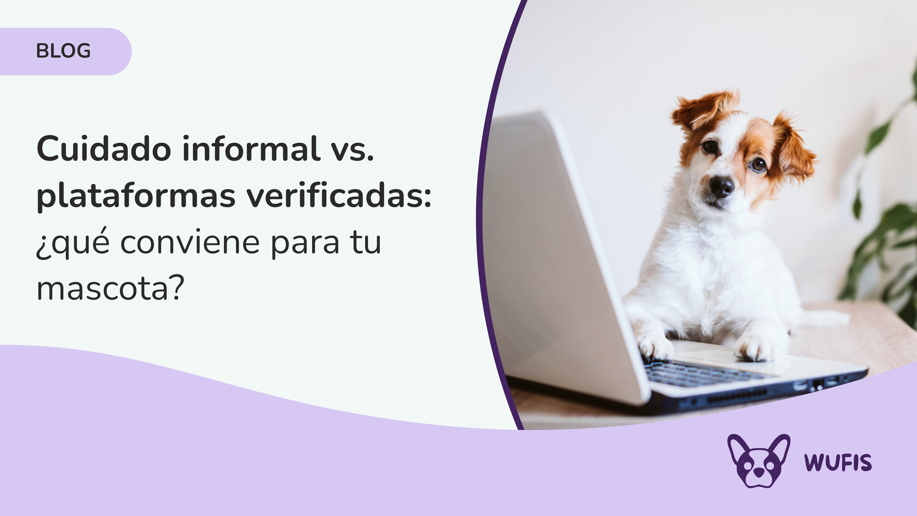 Cuidado informal vs. plataformas verificadas: ¿qué conviene para tu mascota?