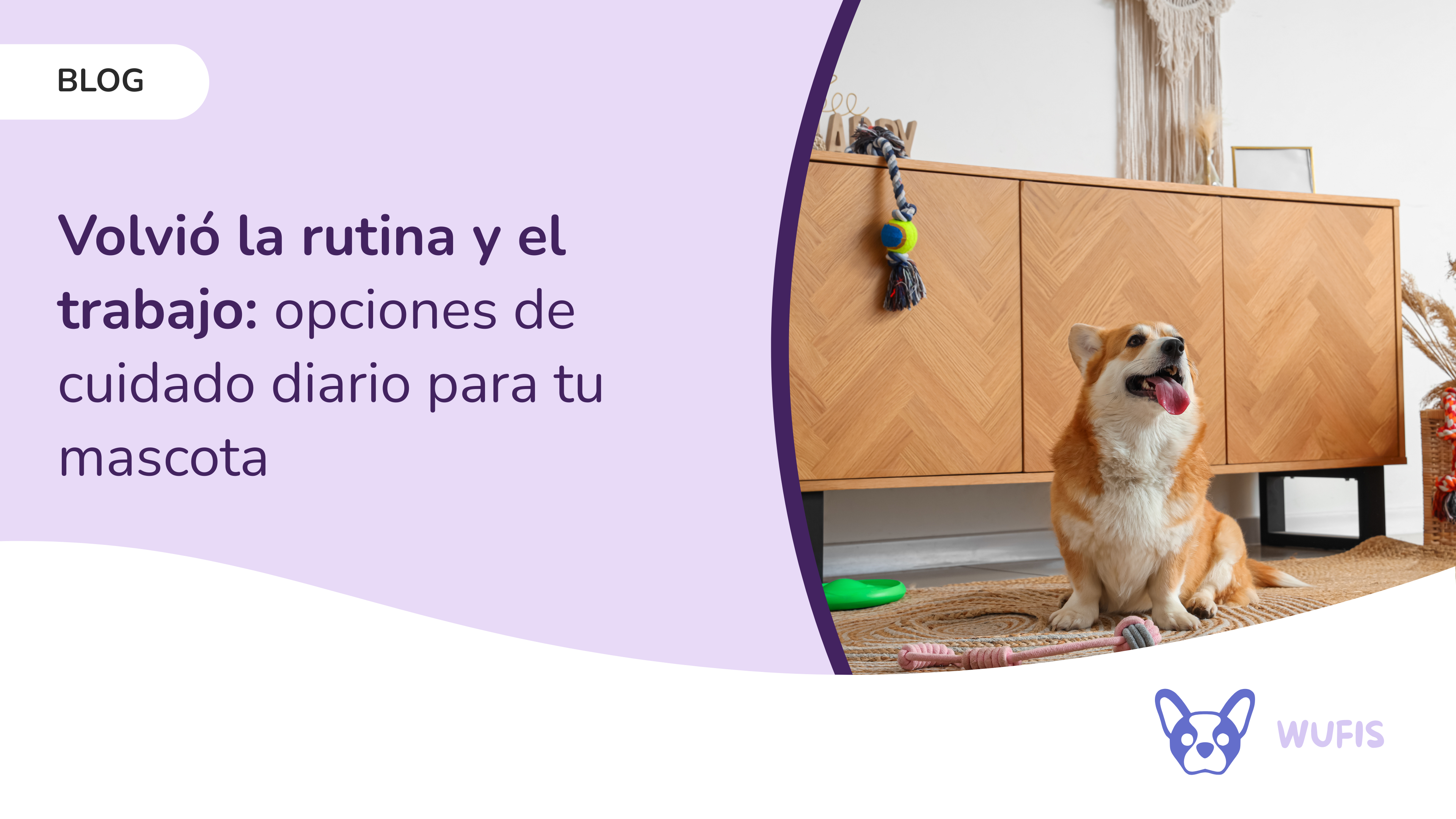 Volvió la rutina y el trabajo: opciones de cuidado diario para tu mascota