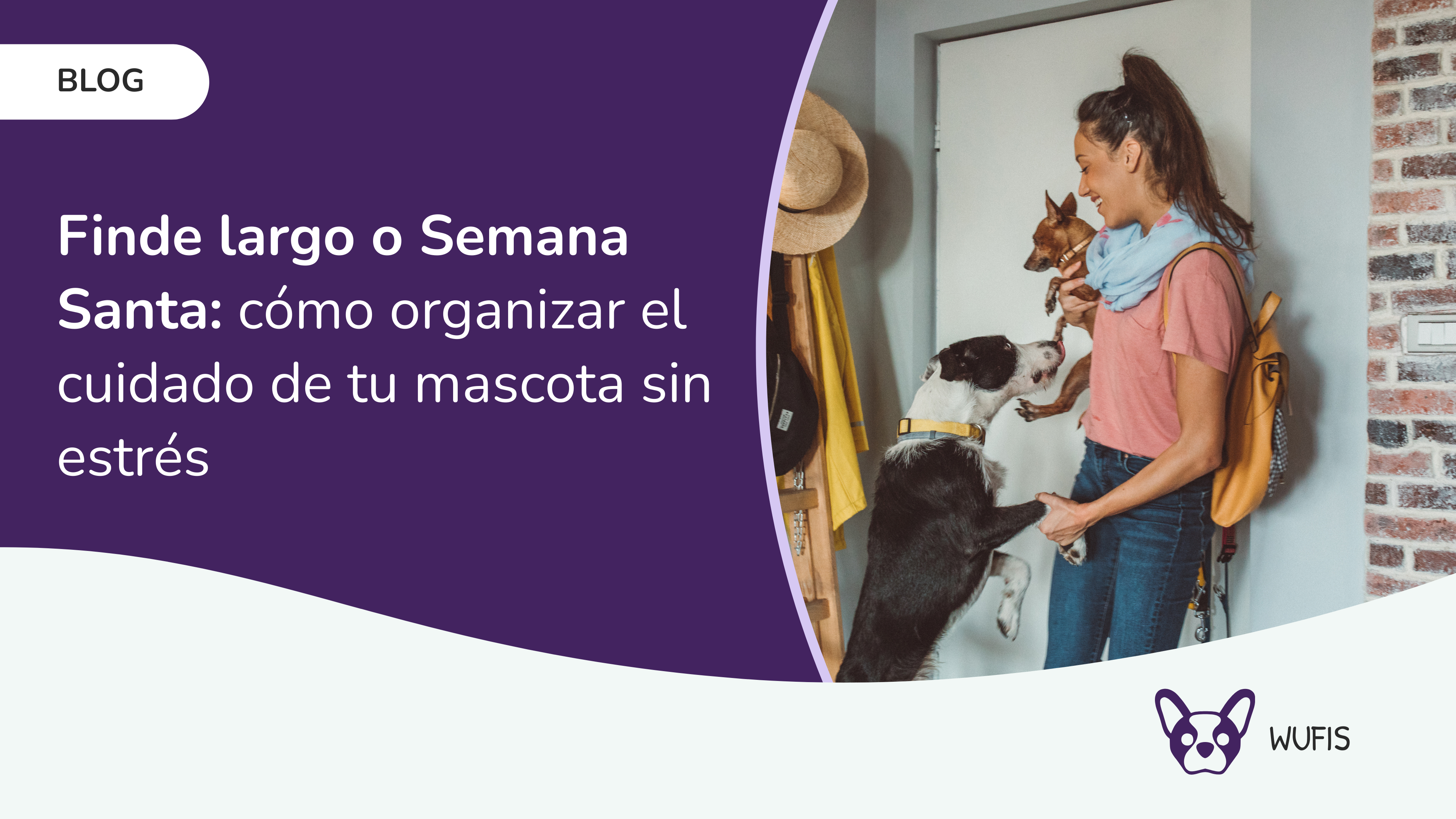 Finde largo o Semana Santa: cómo organizar el cuidado de tu mascota sin estrés